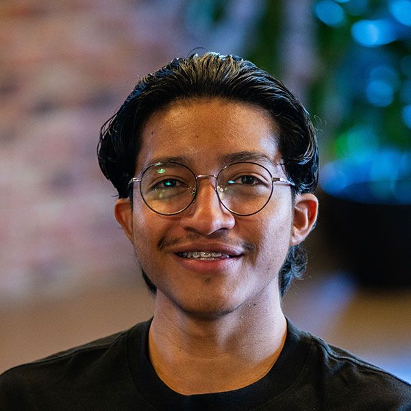 Manlio Tejeda - Software Developer