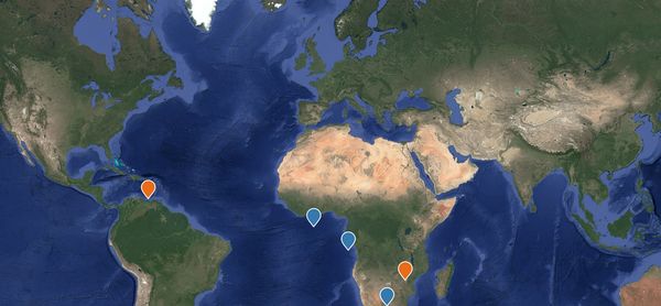 Global Media Outreach